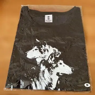 쿠도 시즈카 칸주 투어 티셔츠 사이즈 M 미사용 새상품