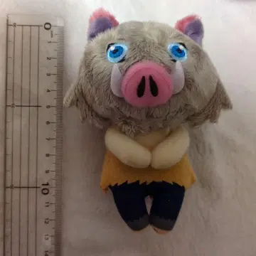 이노스케 쵸코리상