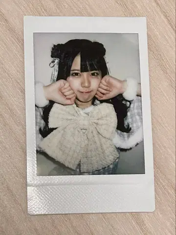 iLiFE! 후쿠마루 우사 런치 폴라로이드 크리스마스 의상