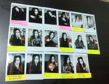 아루루캉 라이토 씨 폴라로이드 세트 2025 낱개 판매 가능