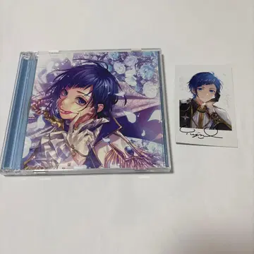 LIPLIP CD 폴라로이드 카드