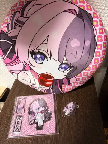 타치바나 히나노 예능인 여단 세트