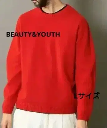 유나이티드 애로우즈 울 100% 크루넥 니트 스웨터 L 사이즈