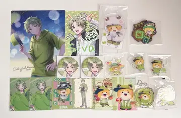 컬러풀 피치 시바님 묶음 판매