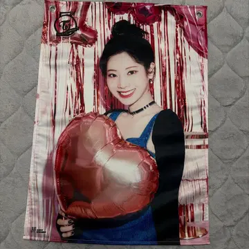 TWICE 다현 패브릭 포스터