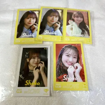 =LOVE 이코러브 타키와키 쇼코 미니 포토 카드 vol.10 시크릿