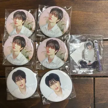 범규 캔뱃지 아크릴 키링 캡슐 토이