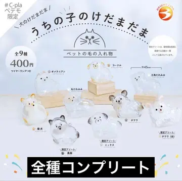 정품 우리 아이 털뭉치 강아지 9종 컴플리트