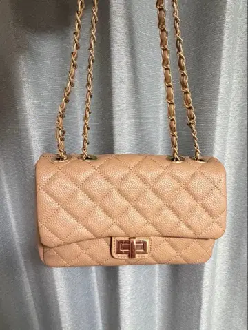 베이지 체인 백