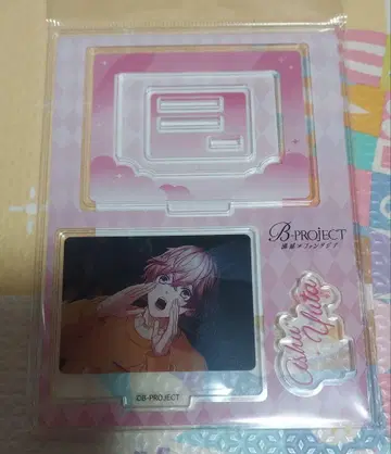 B프로 아슈 유타