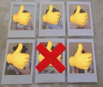 이기가리 도호쿠산 폴라로이드