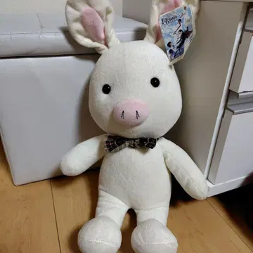 돼지토끼 한국 드라마 미남(잘생긴 남자)이네요