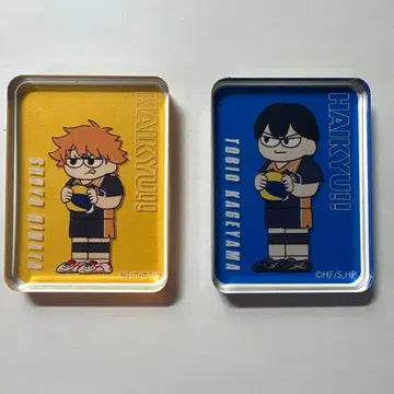 하이큐!! 히나타 쇼요 카게야마 토비오 지로리 아크릴 스탠드