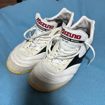 Mizuno 모렐리아 실내 풋살화