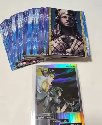 세인트 세이야 하데스 12궁편 48장 카드 홀로카드 1장