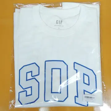 Gap SDP 티셔츠 화이트 그레이 로고 L 챔피온 카니발 한정판