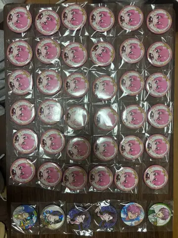 이레이스 캔 배지