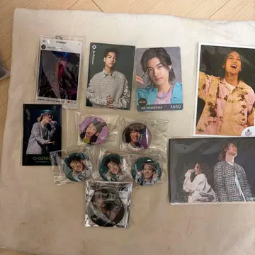 GENIC 니시자와 테이 묶음 판매