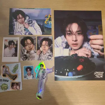 Straykids 리노 세트 트레이딩 카드 시그 2026