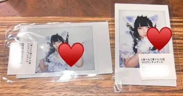 큐르시테 타마키야네 생탄 폴라로이드