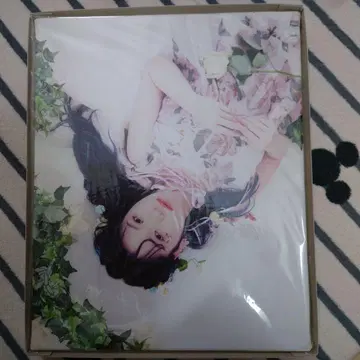 오쿠노 카야 사진 패널