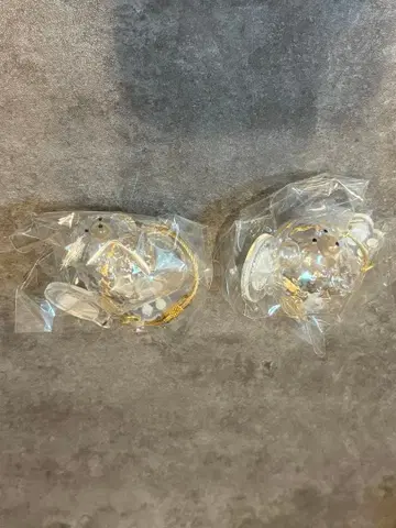 우리 집 털뭉치 푸들