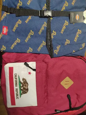 Dickies 백팩 백팩 외 1점