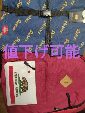 Dickies 백팩 백팩 외 1점