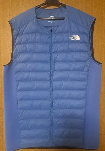 더 노스페이스 레드런 베스트 페더럴 블루 M NY82174