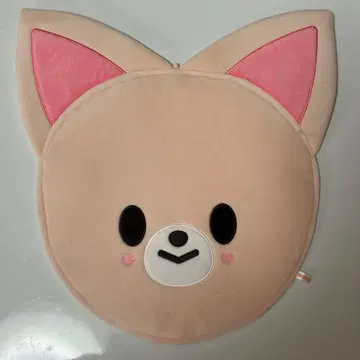 Straykids 아이엔 부채 커버 서울콘 폭시니