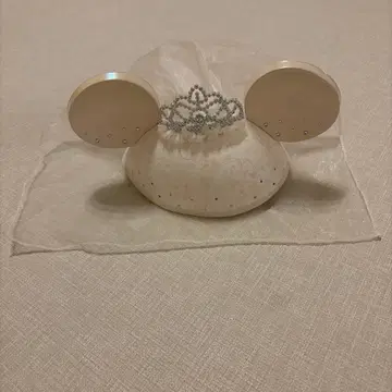 디즈니 미니 웨딩