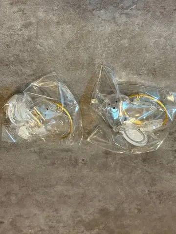 우리 아이 털뭉치 동그란 늘어진 귀