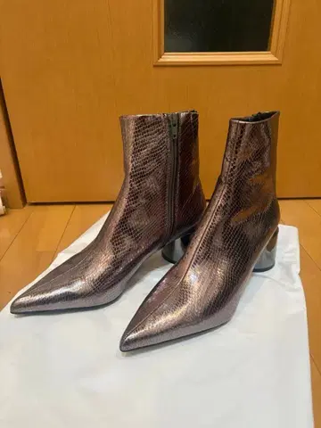 JEANASIS 메탈릭 스네이크 스킨풍 부츠