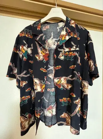 로이스크레용 셋업