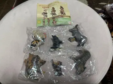 하시모토 미오 브레멘 음악대 2점