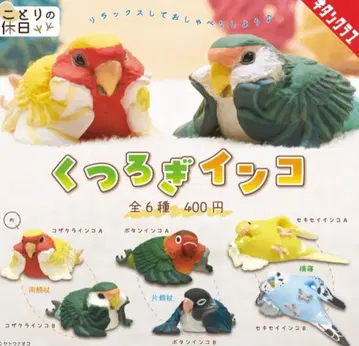 편안한 잉꼬 전 6종 중 5종 가챠 피규어 새의 휴일