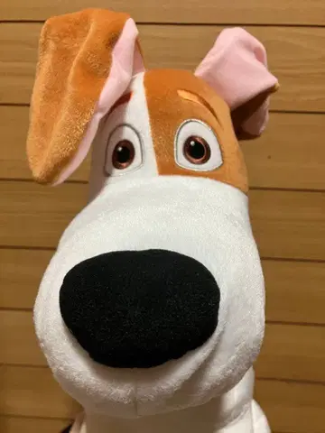 펫2 MAX 인형뽑기 경품