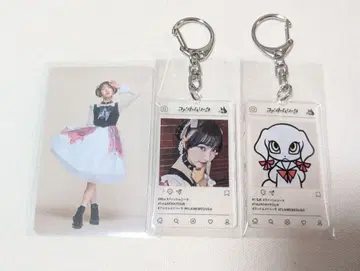 팬텀 시타 미우 구르메