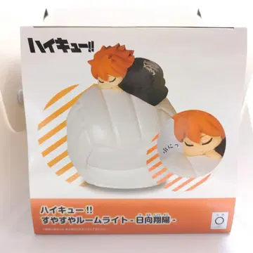 하이큐!! 쌔근쌔근 룸 라이트 히나타 쇼요