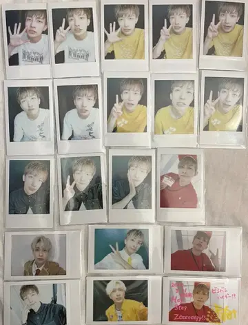 팬더드래곤 요우타 폴라로이드 20장 세트