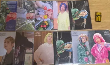 Mrs. GREEN APPLE 후지사와 료카 포토 카드 11장 세트 은테