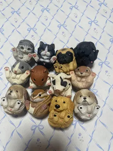 만마루쨩 애니멀 동물 12종류 세트