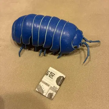 최저가 생물대도감 공벌레 가챠가챠 이리도 공벌레 캡슐 토이