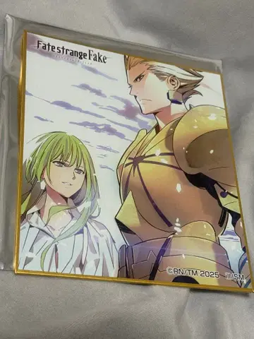 Fate strange Fake 미니 색지 라노벨전