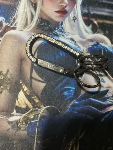 유니폼 익스페리먼트 지르코니아 카라비너