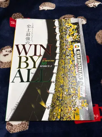 엘고라소 총집편 2025 제프 유나이티드 치바 WIN BY ALL