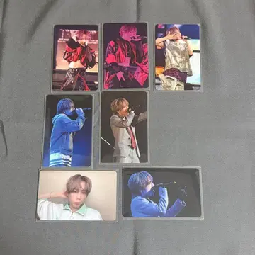 우라시마사카타센 우라타누키 포토 카드