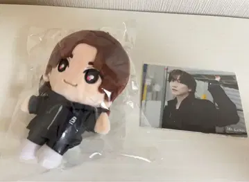 SixTONES 쿄모토 타이가 봉제 인형 오리지널 사진 세트