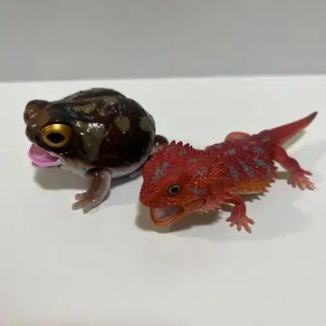 생물대도감 아르거스도마뱀 아메후쿠라 개구리 가챠 캡슐 토이 레어
