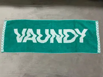 Vaundy 타월